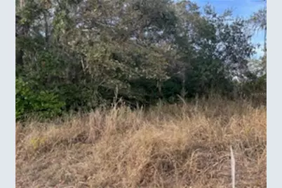 Sunset Trail, Babson Park, FL 33827 - Photo 4