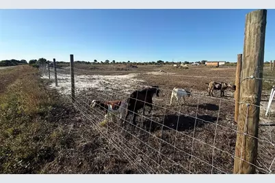 21377 NW 276th Street, Okeechobee, FL 34972 - Photo 8