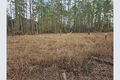 Chinaberry Street, Eustis, FL 32736 - Photo 2