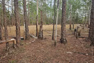 Chinaberry St, Eustis, FL 32736 - Photo 1