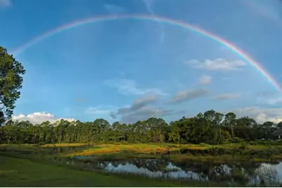 Chinaberry Street, Eustis, FL 32736 - Photo 8