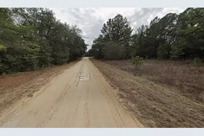 Mullins Avenue, Interlachen, FL 32148 - Photo 2