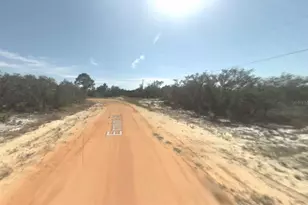 2400 Mink Rd, Avon Park, FL 33825 - Photo 2