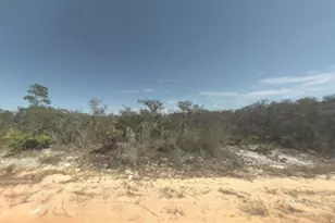 2400 Mink Rd, Avon Park, FL 33825 - Photo 1