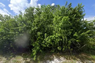 1398 Parham Ave SE, Palm Bay, FL 32909 - Photo 1