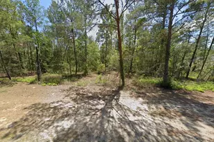 6255 W Oak Park Blvd, Homosassa, FL 34446 - Photo 1