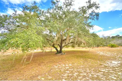 23 Armadillo Road, Frostproof, FL 33843 - Photo 44