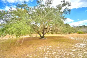 23 Armadillo Rd, Frostproof, FL 33843 - Photo 44