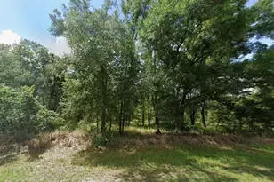 Sr 40, Dunnellon, FL 34432 - Photo 1