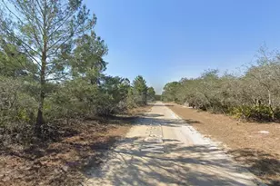 3235 N Dahlia Dr, Lake Placid, FL 33852 - Photo 2