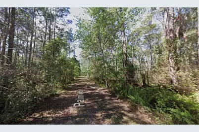 418 Palm Way, Georgetown, FL 32139 - Photo 2