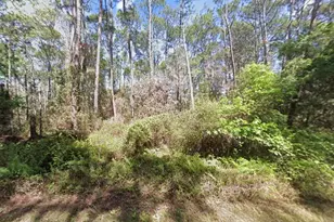 418 Palm Way, Georgetown, FL 32139 - Photo 1