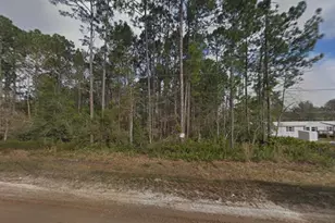 4818 Acacia St, Middleburg, FL 32068 - Photo 1