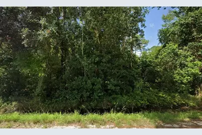 Tbd 10th Avenue, Deland, FL 32724 - Photo 2