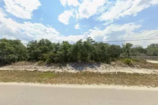 2903 W Gordon Rd, Avon Park, FL 33825 - Photo 1