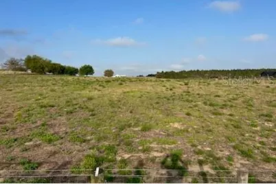 Muncie Road, Babson Park, FL 33827 - Photo 2