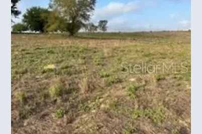 Muncie Road, Babson Park, FL 33827 - Photo 8