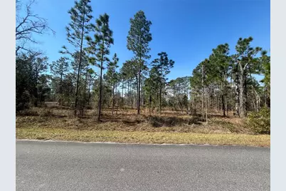 Water Oak Avenue, Dunnellon, FL 34431 - Photo 1