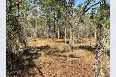 Water Oak Avenue, Dunnellon, FL 34431 - Photo 8