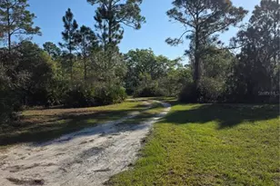 1991 Rosalie Lake Rd, Lake Wales, FL 33898 - Photo 40
