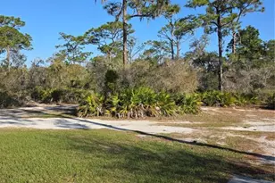 1991 Rosalie Lake Rd, Lake Wales, FL 33898 - Photo 38