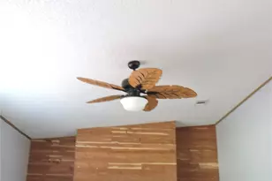 294 Tiger Lake Rd, Lake Wales, FL 33898 - Photo 12