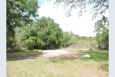 294 Tiger Lake Road, Lake Wales, FL 33898 - Photo 48
