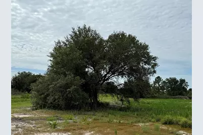 16814 NW 296th Street, Okeechobee, FL 34972 - Photo 2
