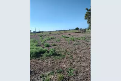 Mullinsville Rd., Frostproof, FL 33843 - Photo 4