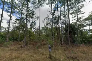 1210 Raphia St E, Lehigh Acres, FL 33974 - Photo 1