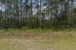 141 E Boundary Dr, Georgetown, FL 32139 - Photo 1