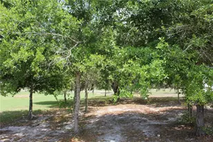 8225 Wakeford Rd, Lake Wales, FL 33898 - Photo 88