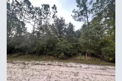 119 Gardenia Avenue, Georgetown, FL 32139 - Photo 4