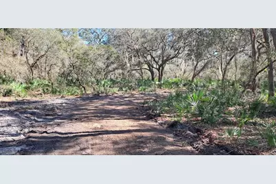 119 Gardenia Avenue, Georgetown, FL 32139 - Photo 2