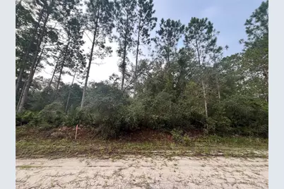 119 Gardenia Avenue, Georgetown, FL 32139 - Photo 1