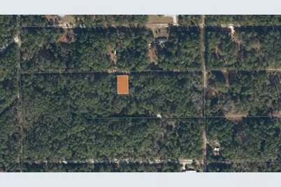 119 Gardenia Avenue, Georgetown, FL 32139 - Photo 6