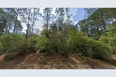 119 Gardenia Avenue, Georgetown, FL 32139 - Photo 8