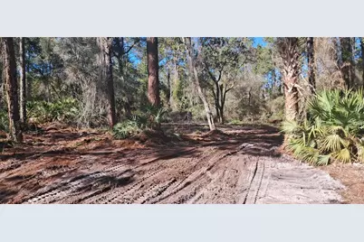 120 Gardenia Avenue, Georgetown, FL 32139 - Photo 2