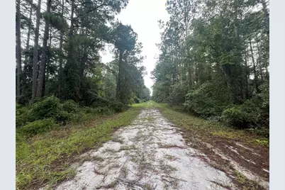 120 Gardenia Avenue, Georgetown, FL 32139 - Photo 6