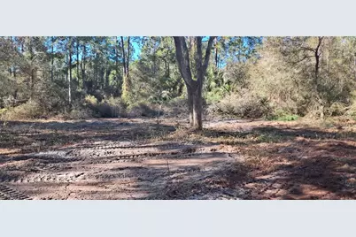 120 Gardenia Avenue, Georgetown, FL 32139 - Photo 4