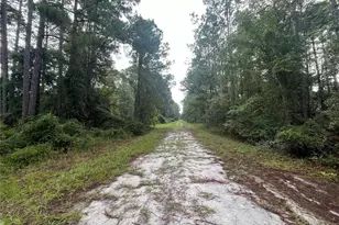 120 Gardenia Ave, Georgetown, FL 32139 - Photo 1