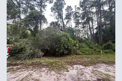 120 Gardenia Avenue, Georgetown, FL 32139 - Photo 2