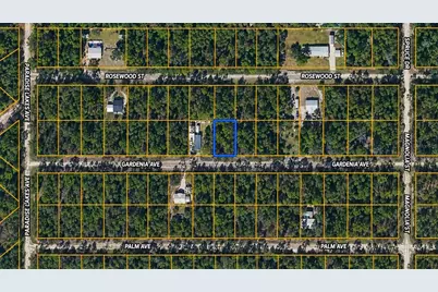 120 Gardenia Avenue, Georgetown, FL 32139 - Photo 1