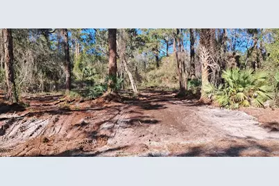 120 Gardenia Avenue, Georgetown, FL 32139 - Photo 2