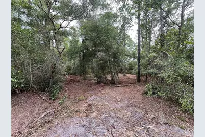 122 Glenside Street, Georgetown, FL 32139 - Photo 6