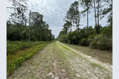 122 Glenside Street, Georgetown, FL 32139 - Photo 10