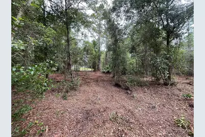 122 Glenside Street, Georgetown, FL 32139 - Photo 2