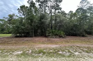 124 Glenside St, Georgetown, FL 32139 - Photo 1