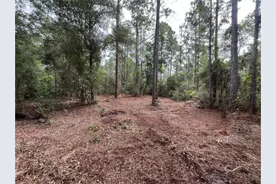124 Glenside Street, Georgetown, FL 32139 - Photo 2