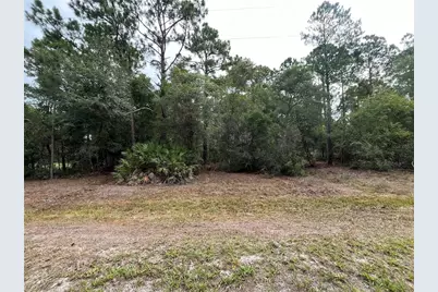 124 Glenside Street, Georgetown, FL 32139 - Photo 4